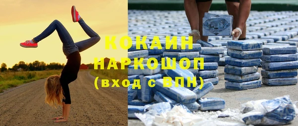 сатива Армянск